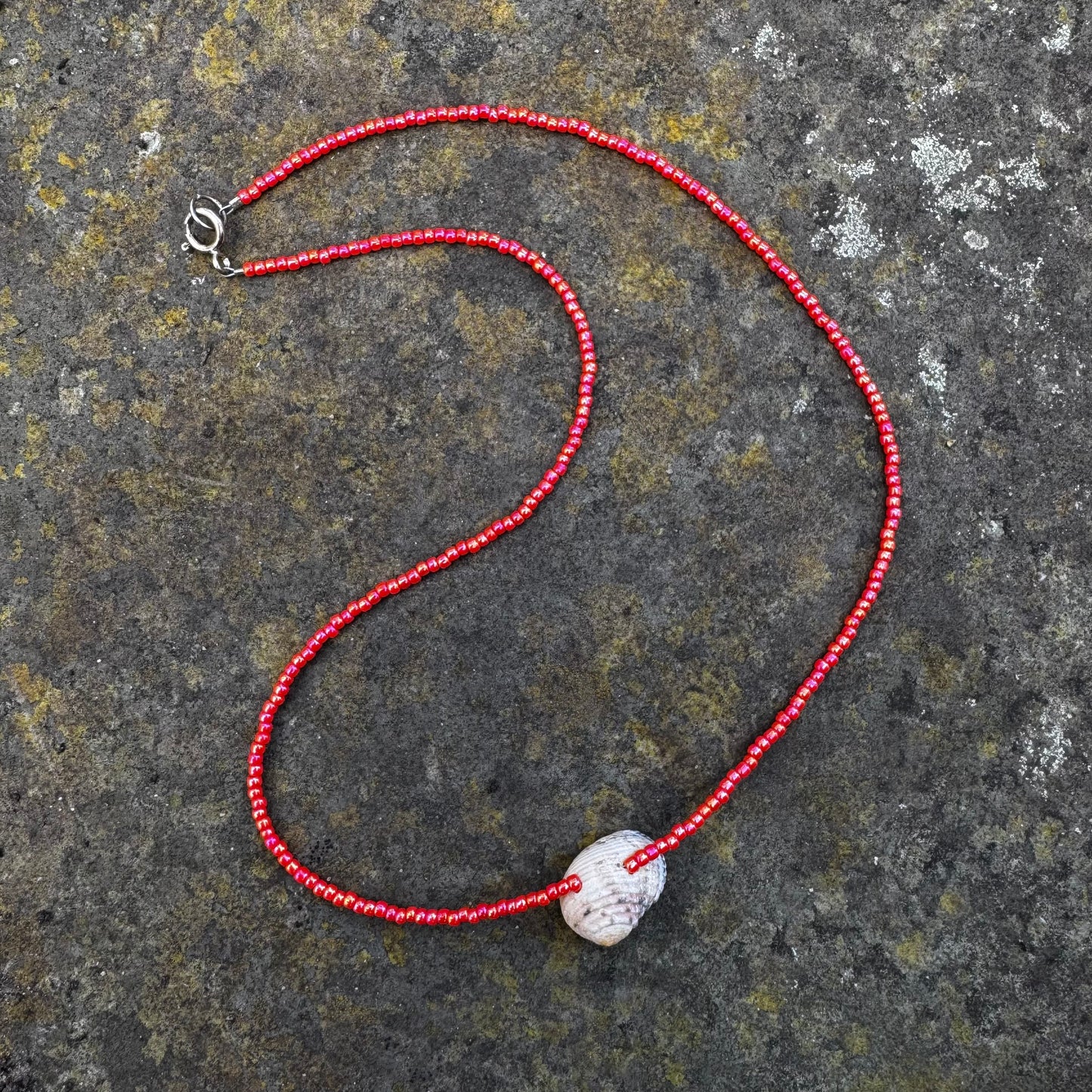 Beaded seashell necklace