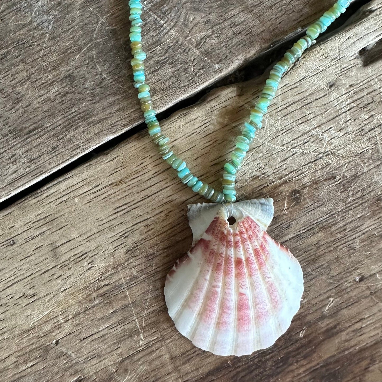 Knysna seashell necklace