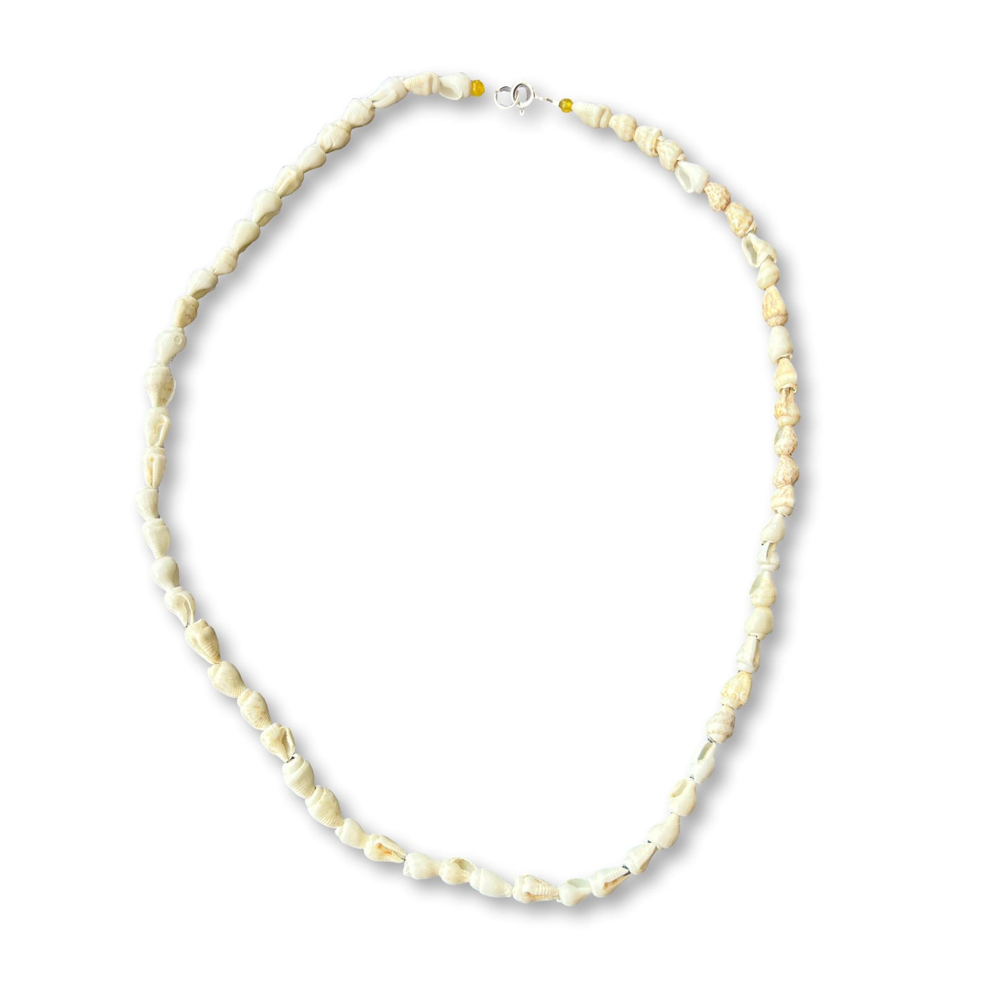 Conch shell Necklace