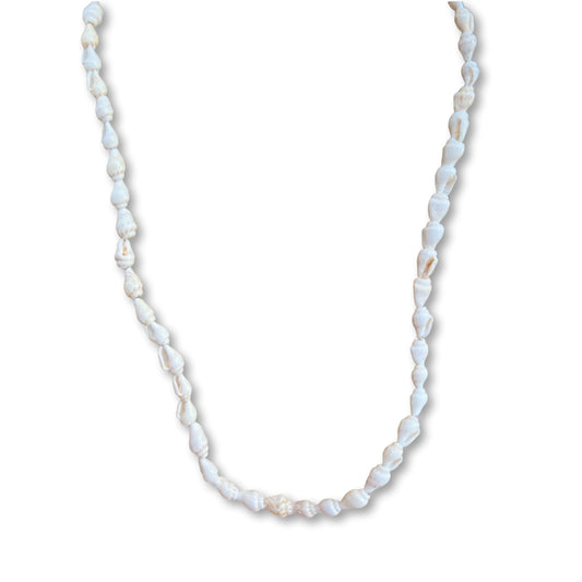 Conch shell Necklace