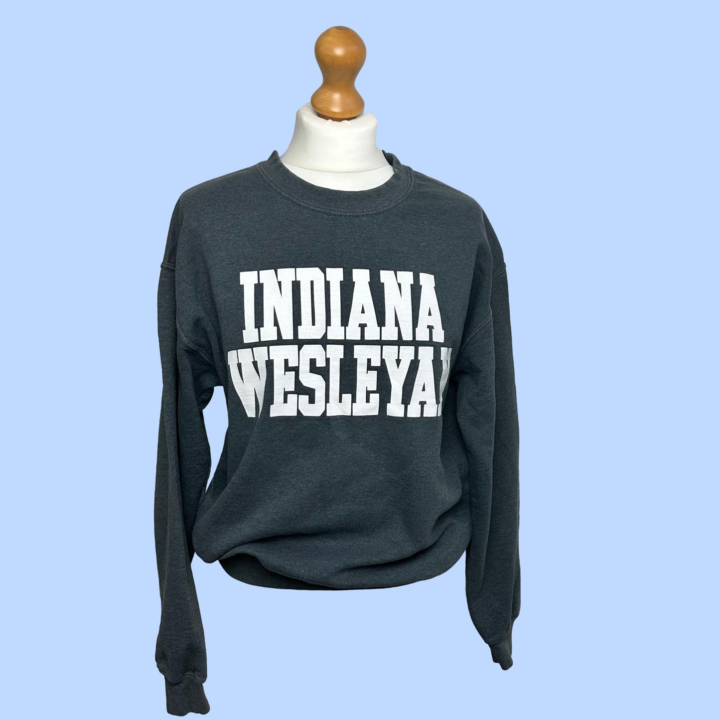 Reloved Indiana Wesleyan University Sweat-Shirt