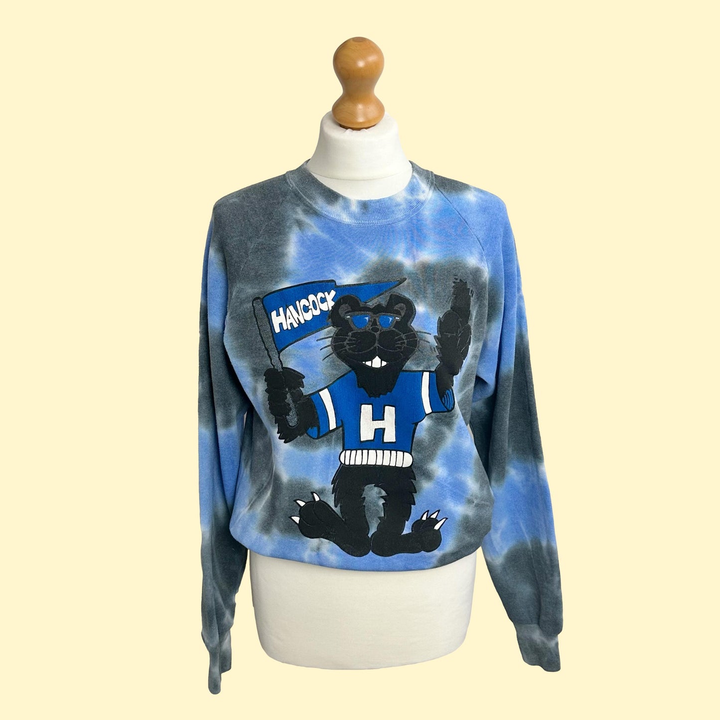 Repurposed & Reloved Panthers Tie Dye Sweat-Shirt