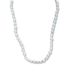 Conch shell Necklace